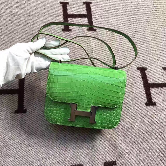 Top hermes 100% genuine crocodile leather small constance bag C0019 green