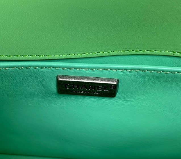 CC original genuine stingray skin boy bag A67086 bright green