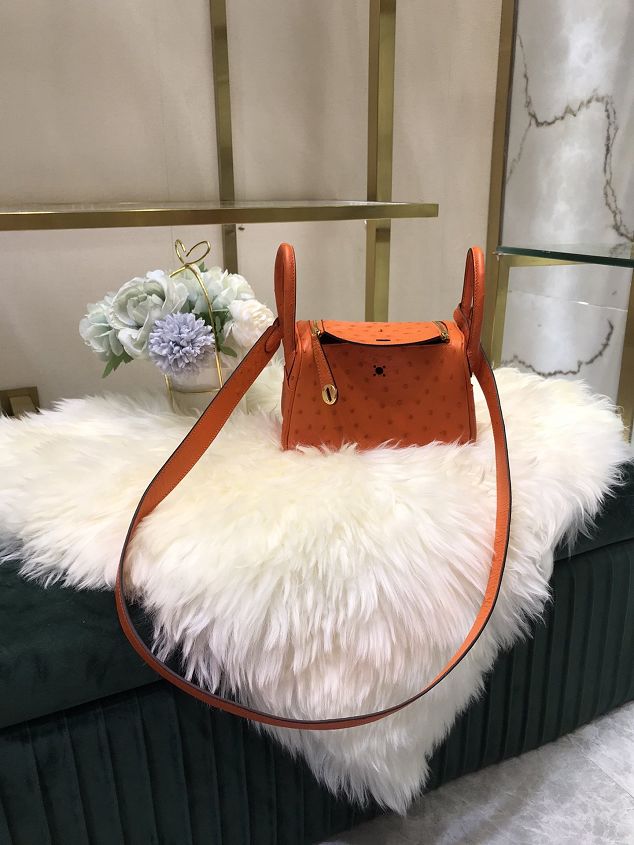 Hermes original ostrich leather mini lindy 19 bag H0019 