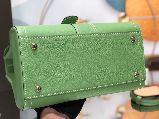 Delvaux original grained calfskin brillant bag MM AA0555 vert criquet