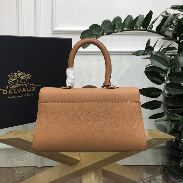 Delvaux original grained calfskin brillant small bag AA0417 brown