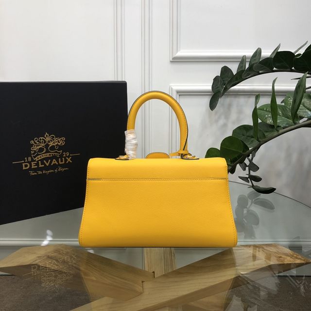 Delvaux original grained calfskin brillant small bag AA0417 yellow