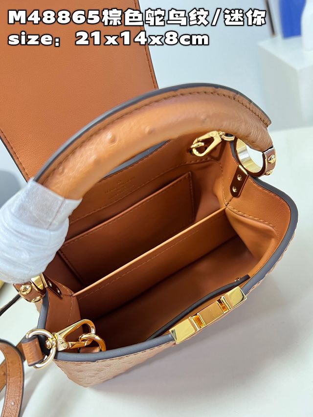 Louis vuitton original ostrich calfskin capucines mini handbag M93483 brown