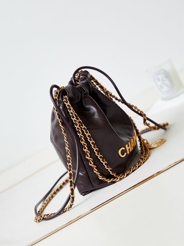 2024 CC original calfskin 22 mini handbag AS3980 dark brown