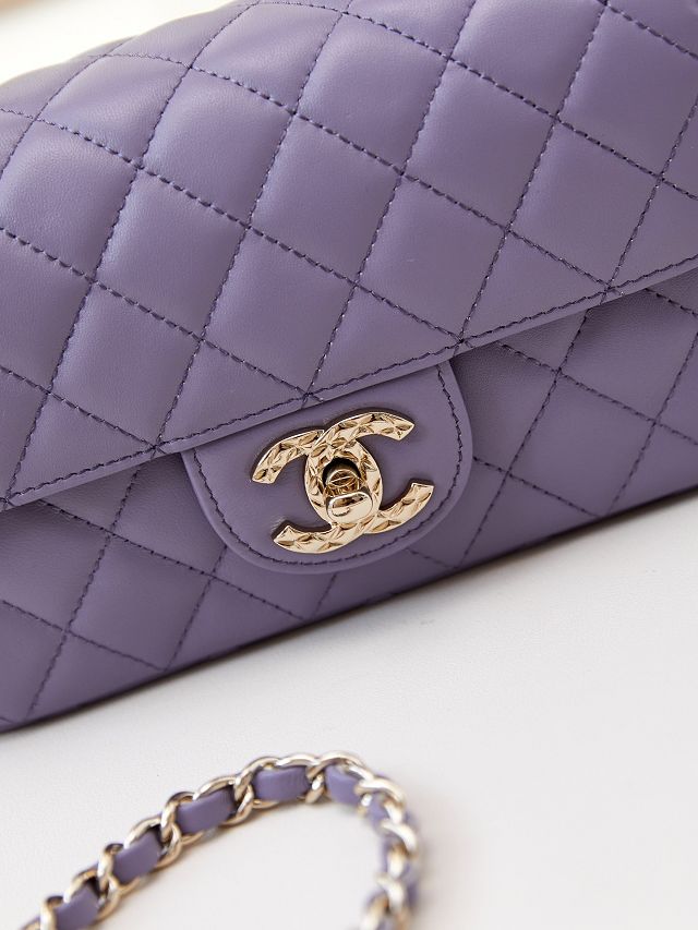 2024 CC original lambskin mini top handle bag AS4924 light purple
