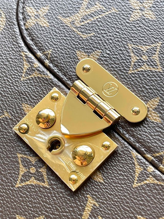 Louis vuitton original monogram canvas montsouris trunk M15166