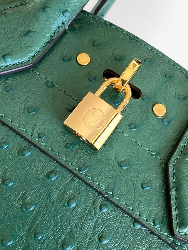 Louis vuitton original ostrich calfskin city steamer mm bag M84079 green