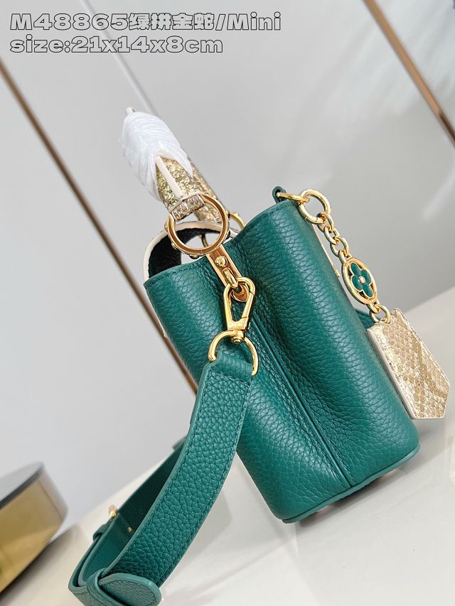 Louis vuitton original calfskin capucines mini handbag N85517 green