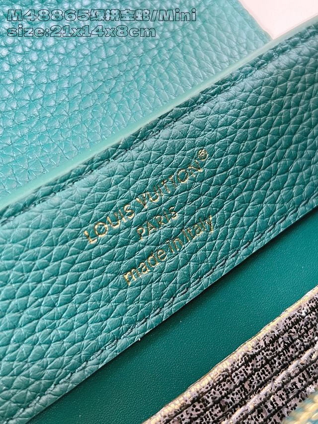 Louis vuitton original calfskin capucines mini handbag N85517 green