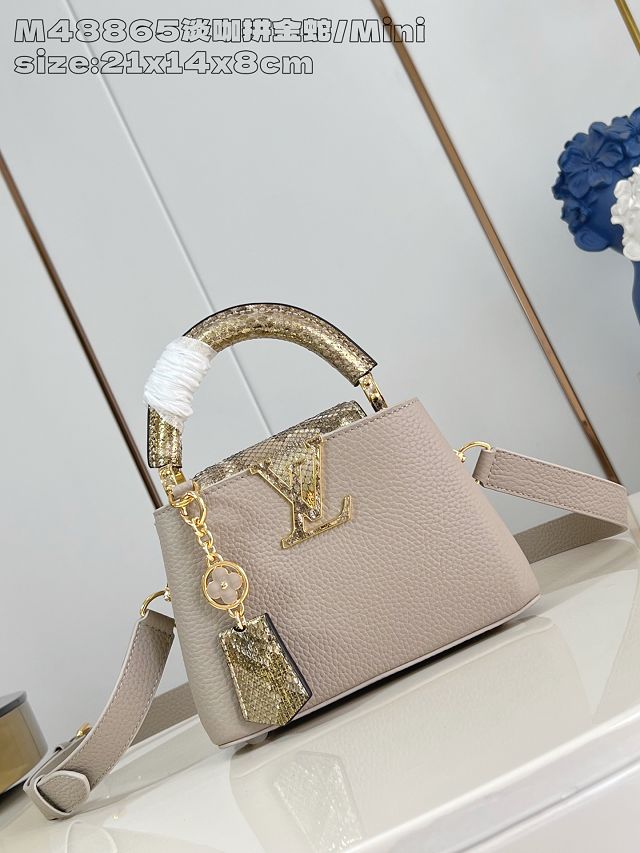 Louis vuitton original calfskin capucines mini handbag N85517 grey