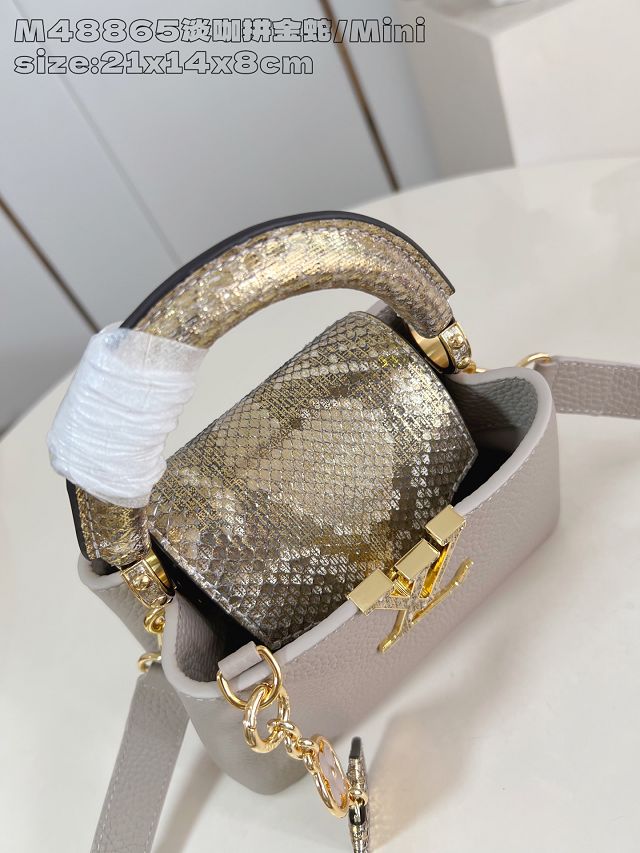 Louis vuitton original calfskin capucines mini handbag N85517 grey