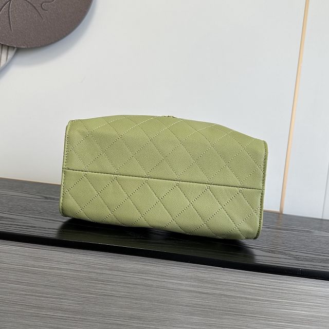 CC grained calfskin 25 small handbag AS5293 light green