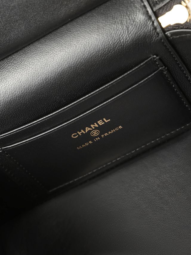 CC crocodile calfskin vanity with chain AP5195